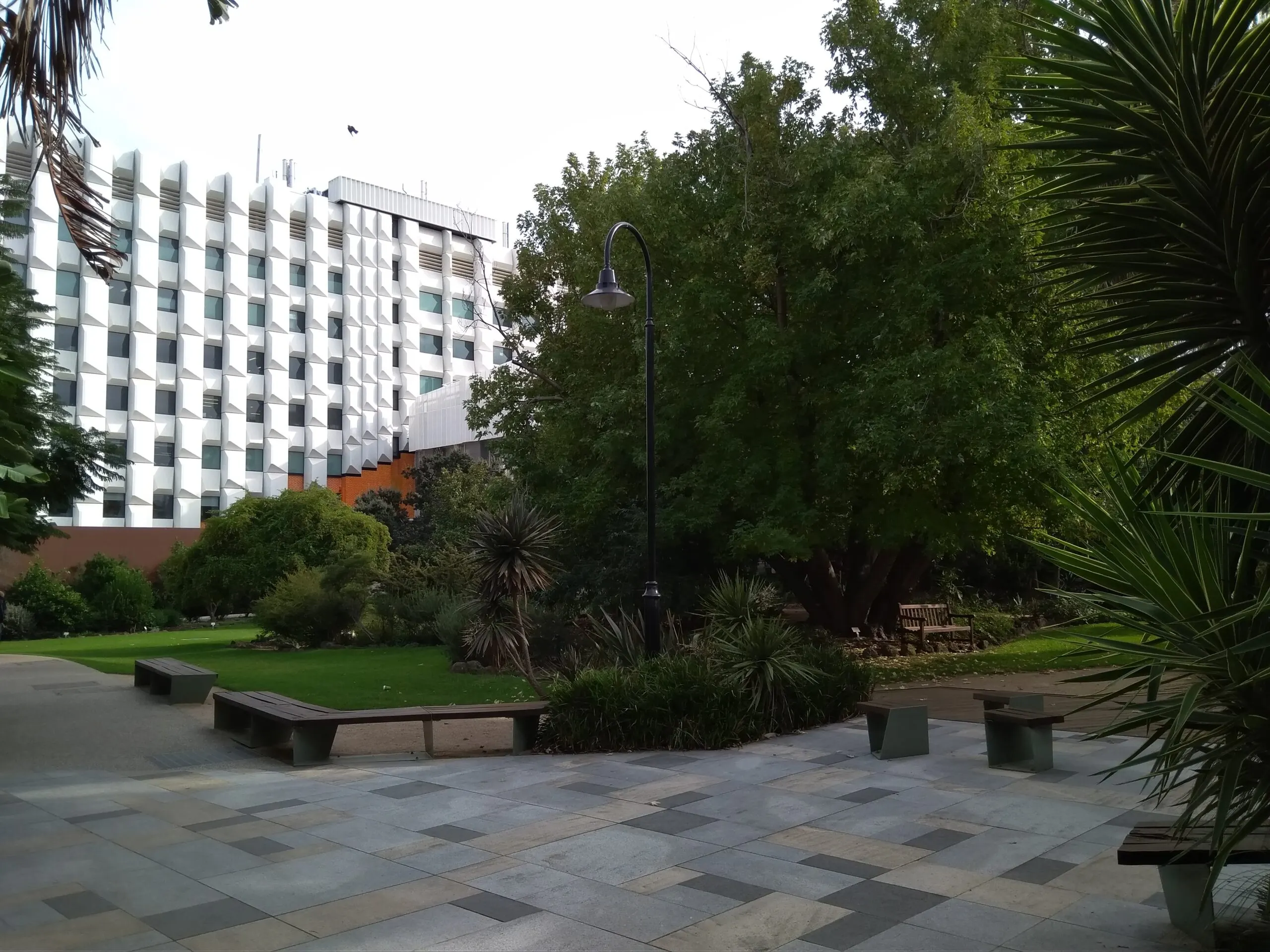 Monash University Clayton campus, near the site of the Suburban Rail Loop East Monash station