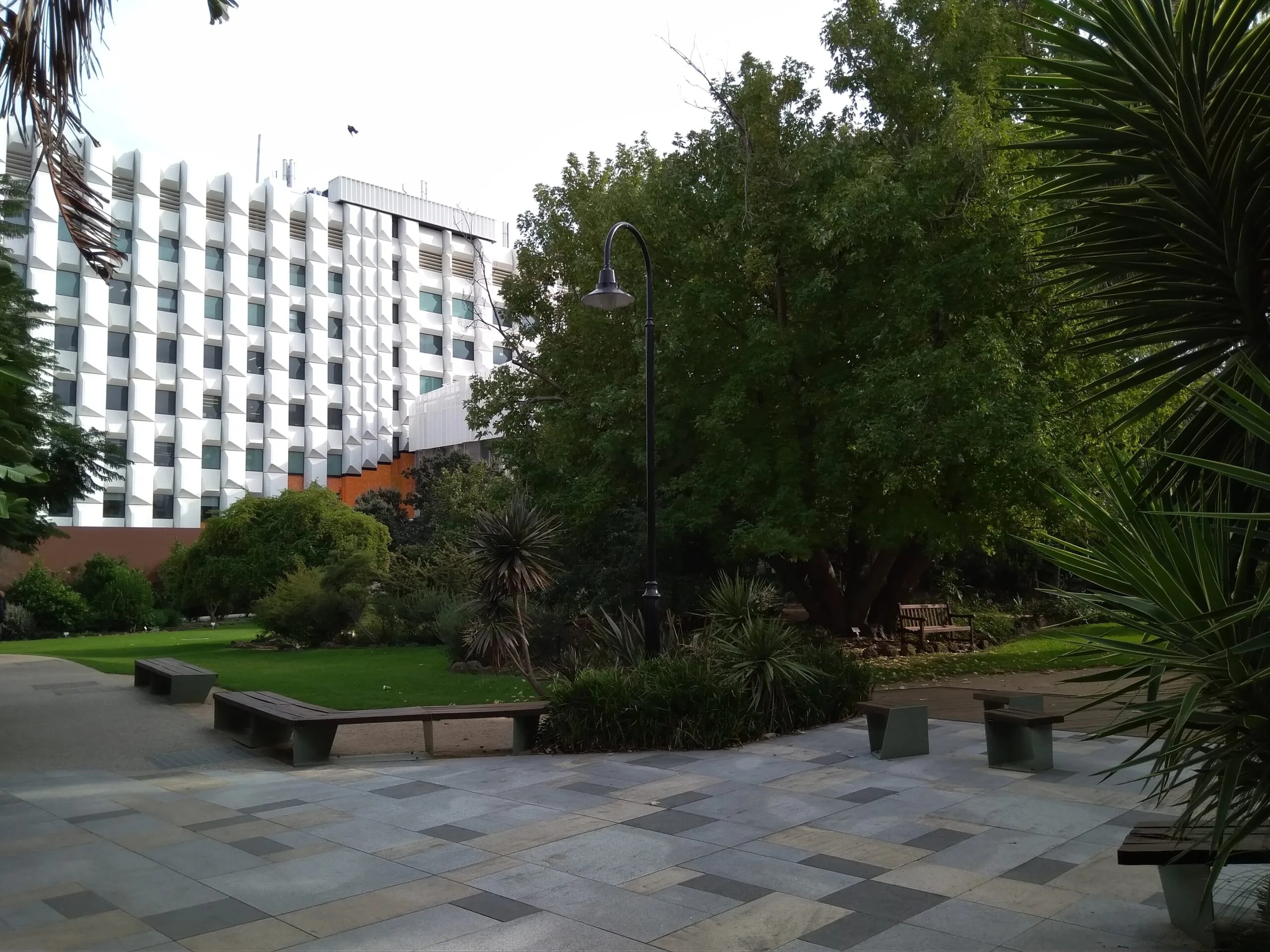 Monash University Clayton Campus – SRL East Monash University Clayton campus, near the site of the Suburban Rail Loop East Monash station